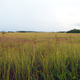 Flat, low, and on a porous bedrock, South Florida is extremely vulnerable to the impacts of sea level rise.